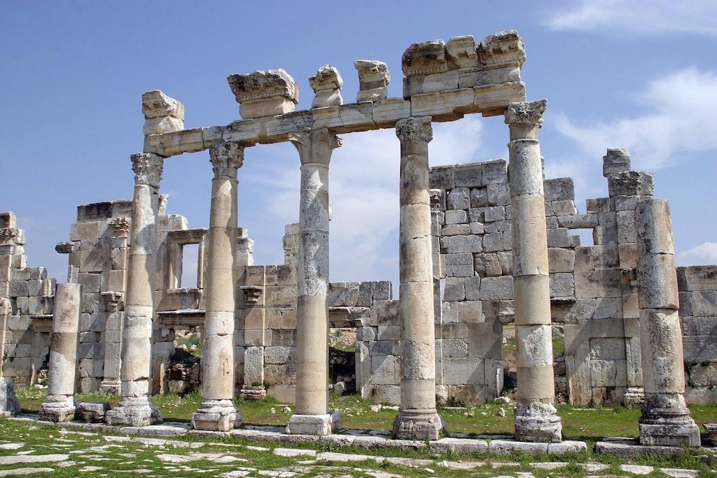 aphamia-1078487_1920.jpg