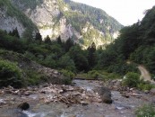 nature-2073067960720