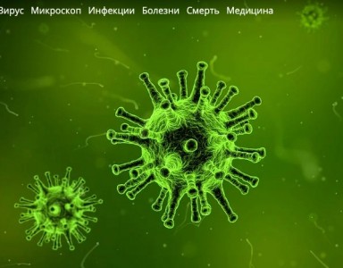 Военных могут заставлять делать прививки? Изображение 1